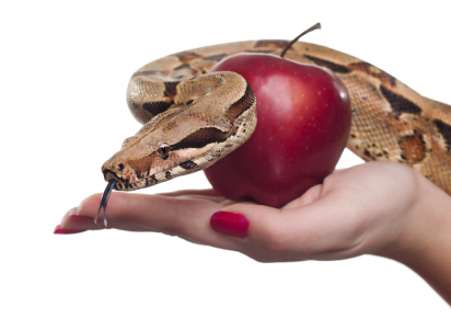 apple-snake-temptation (Demo)