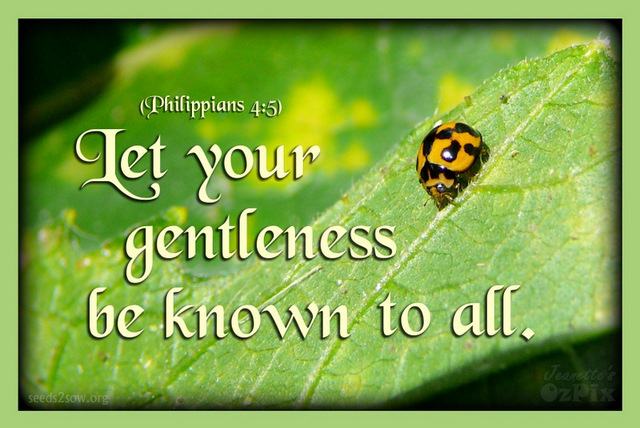 Let your gentleness be known to all.  (Phil. 4:5) (Demo)